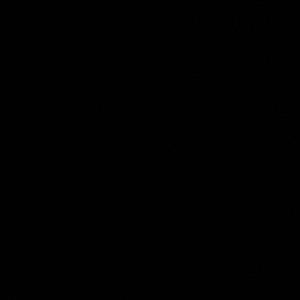 Meet your Posher, Mason